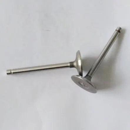 Впускний і витяжний клапан для мотоцикла Cg150